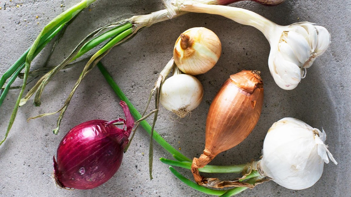 an assortment of onions, shallots, and heads of garlic against a gray background